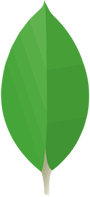 MongoDB